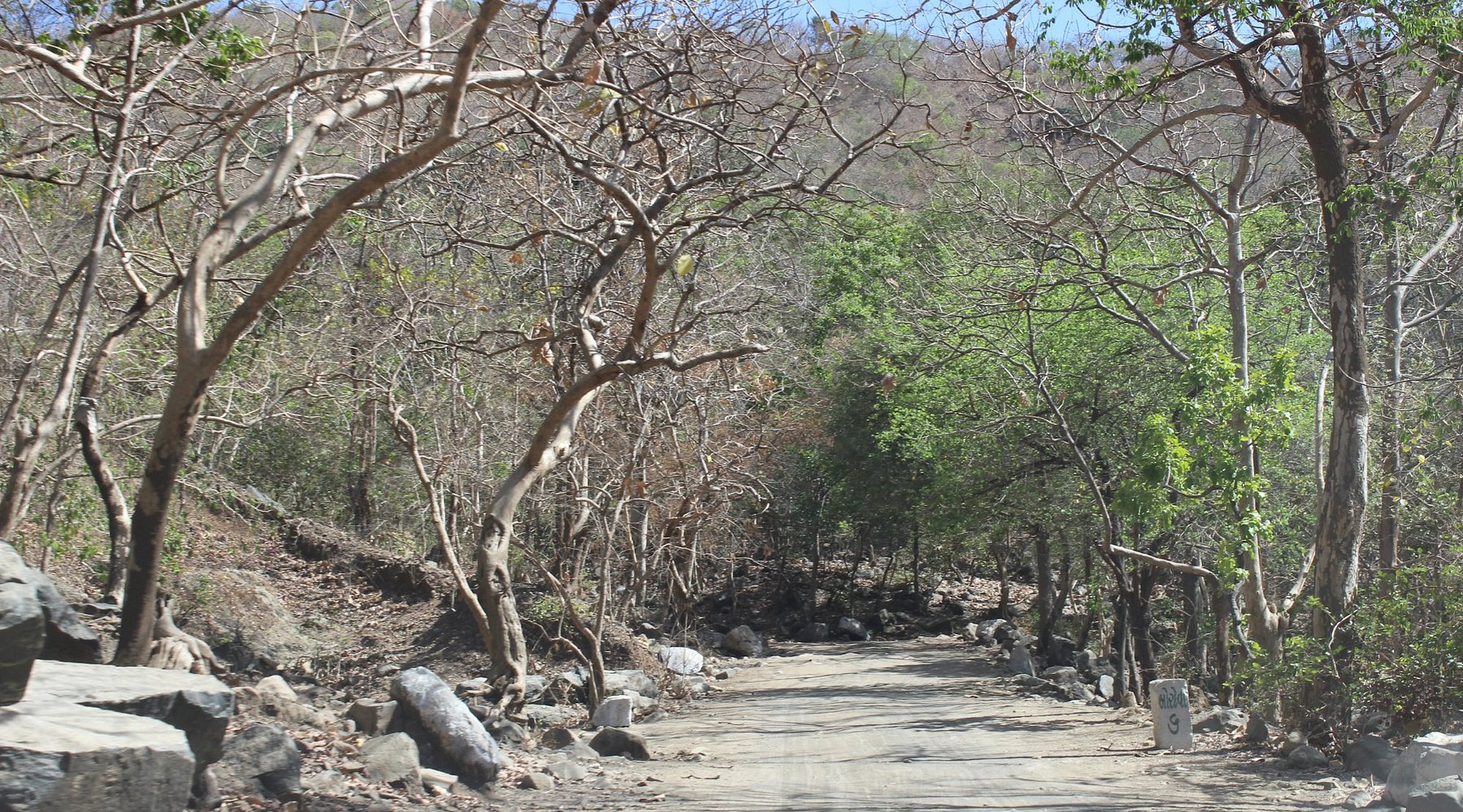 Bordevi Road